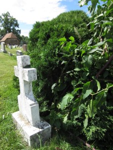 Puskarich Anna's grave back