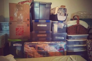 "Well, this is my life in a nutshell." (c) Patricia J. Angus