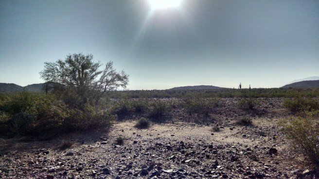 Heat radiates in the hot desert autumn 2014. (c) 2015 Patricia J. Angus