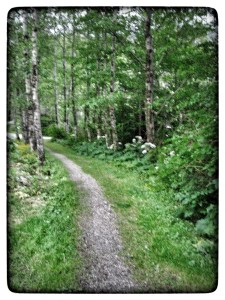 I feared the unknown road ahead. (c) 2015 Patricia J Angus