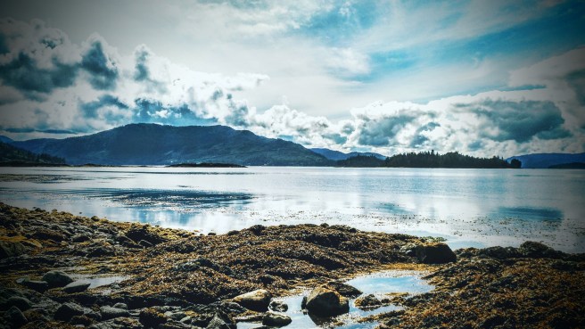 One of my favorite places on the island. (c) 2015 Patricia J. Angus